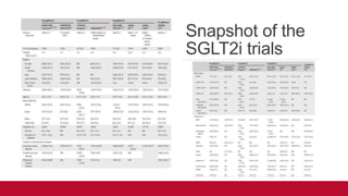 Snapshot of the
SGLT2i trials
 