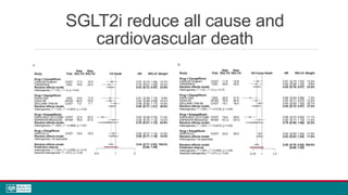 SGLT2i reduce all cause and
cardiovascular death
 