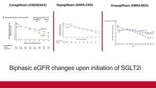 Biphasic eGFR changes upon initiation of SGLT2i
Canagliflozin (CREDENCE) Dapagliflozin (DAPA-CKD) Empagliflozin (EMPA-REG)
 
