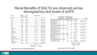 Renal Benefits of SGLT2i are observed across
demographics and levels of eGFR
https://doi.org/10.2215/CJN.10140620
http://www.nejm.org/doi/10.1056/NEJMoa2024816
 