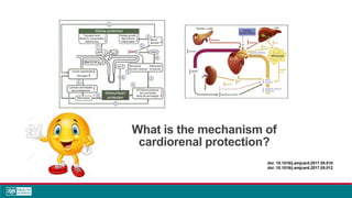What is the mechanism of
cardiorenal protection?
doi: 10.1016/j.amjcard.2017.05.010
doi: 10.1016/j.amjcard.2017.05.012
 