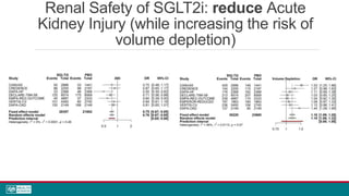 Renal Safety of SGLT2i: reduce Acute
Kidney Injury (while increasing the risk of
volume depletion)
 