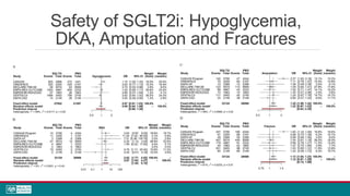 Safety of SGLT2i: Hypoglycemia,
DKA, Amputation and Fractures
 