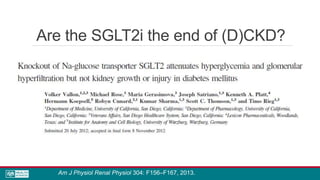 Are the SGLT2i the end of (D)CKD?
Am J Physiol Renal Physiol 304: F156–F167, 2013.
 