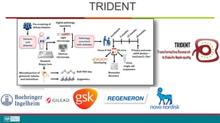 TRIDENT
 