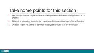 Take home points for this section
1. The kidneys play an important role in carbohydrate homeostasis through the SGLT2
channel
2. This role is ultimately linked to the regulation of the prevailing level of renal function
3. One can target the kidney to develop anti-glycemic drugs that are efficacious
 