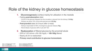 Role of the kidney in glucose homeostasis
1. Gluconeogenesis (cortex) mainly for utilization in the medulla
◦ Fasting post-absorptive state:
◦ 20-25% of the glucose released into the circulation is derived from the kidneys (12-55g)
◦ Kidneys use about 10% of the entire glucose pool (25-35g)
◦ Post-prandial state (4-5 hours after a meal):
◦ Kidneys responsible for 60% of endogenous glucose release (70g)
◦ Renal release of glucose x30% in pts with T2D
2. Reabsorption of filtered glucose by the proximal tubule
◦ GFR of 125 ml/min x 90-100 mg/dL = 160-180g filtered
◦ Nearly all of it is reabsorbed
◦ Primary renal contribution to glucose homeostasis
DOI: 10.1152/ajpendo.00116.2001
DOI: 10.1113/JP271904
DOI: 10.1016/j.diabres.2017.07.033
DOI: 10.1152/physrev.00055.2009
DOI:10.1016/j.tips.2010.11.011
DOI: 10.1016/j.metabol.2014.06.018
 