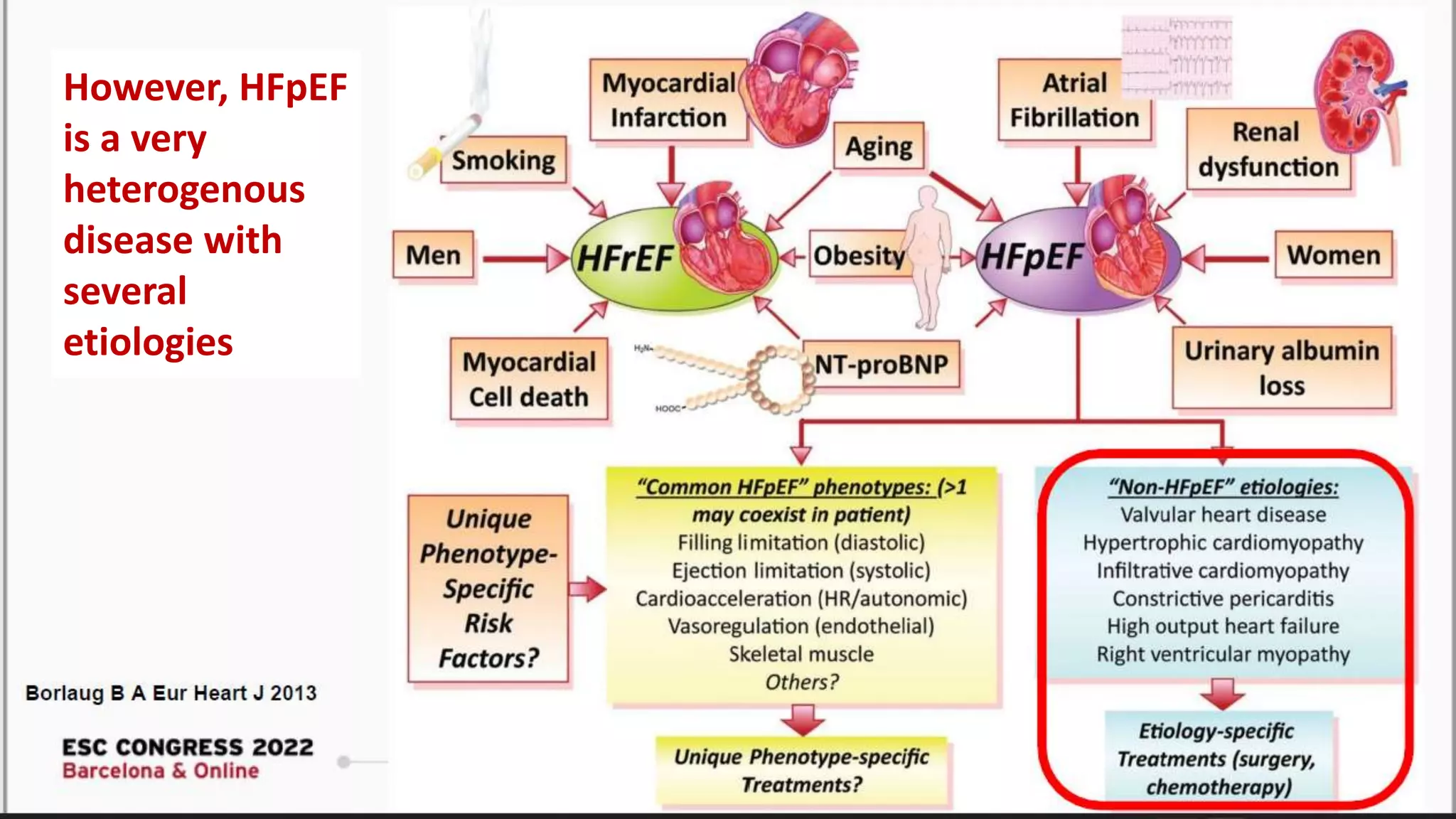 However, HFpEF
is a very
heterogenous
disease with
several
etiologies
