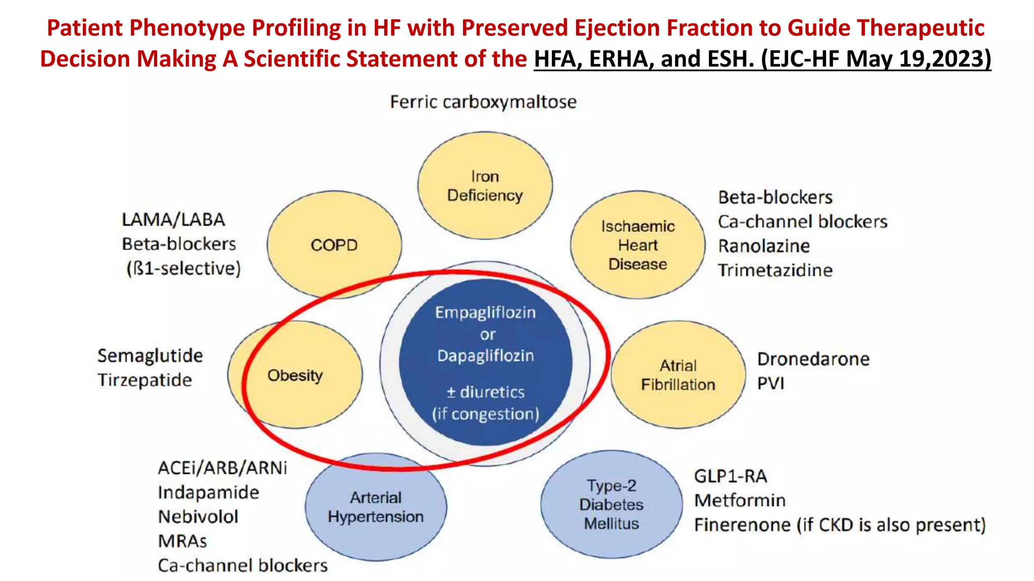 Patient Phenotype Profiling in HF with Preserved Ejection Fraction to Guide Therapeutic
Decision Making A Scientific Statement of the HFA, ERHA, and ESH. (EJC-HF May 19,2023)