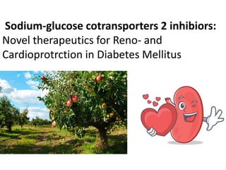 Sodium-glucose cotransporters 2 inhibiors:
Novel therapeutics for Reno- and
Cardioprotrction in Diabetes Mellitus
 
