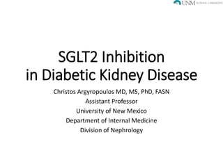 SGLT2 inhibitors in Diabetic Kidney Disease | PPTX