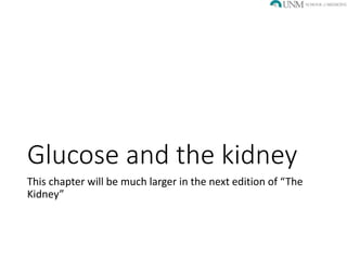 SGLT2 inhibitors in Diabetic Kidney Disease | PPTX