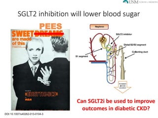 SGLT2 inhibitors in Diabetic Kidney Disease | PPTX
