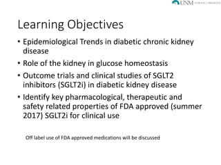 SGLT2 inhibitors in Diabetic Kidney Disease | PPTX