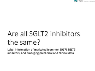 SGLT2 inhibitors in Diabetic Kidney Disease | PPTX