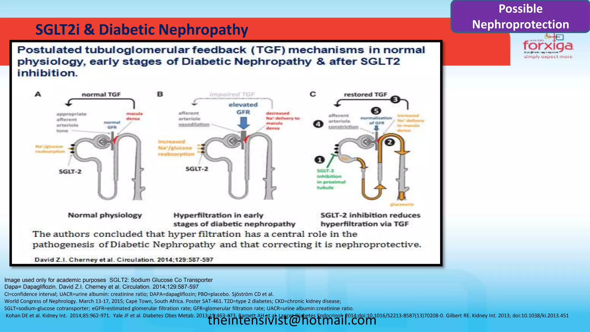 SGLT2i & Diabetic Nephropathy
Image used only for academic purposes SGLT2: Sodium Glucose Co Transporter
Dapa= Dapagliflozin. David Z.I. Cherney et al. Circulation. 2014;129:587-597
CI=confidence interval; UACR=urine albumin: creatinine ratio; DAPA=dapagliflozin; PBO=placebo. Sjöström CD et al.
World Congress of Nephrology. March 13-17, 2015; Cape Town, South Africa. Poster SAT-461. T2D=type 2 diabetes; CKD=chronic kidney disease;
SGLT=sodium-glucose cotransporter; eGFR=estimated glomerular filtration rate; GFR=glomerular filtration rate; UACR=urine albumin:creatinine ratio.
Kohan DE et al. Kidney Int. 2014;85:962-971. Yale JF et al. Diabetes Obes Metab. 2013;15:463-473. Barnett AH et al. Lancet Diabetes Endocrinol. 2014;doi:10.1016/S2213-8587(13)70208-0. Gilbert RE. Kidney Int. 2013; doi:10.1038/ki.2013.451
Possible
Nephroprotection
theintensivist@hotmail.com
 