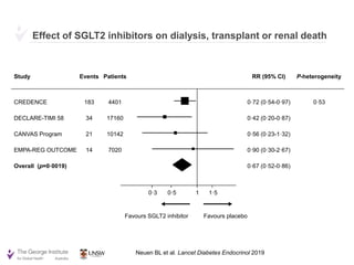 SGLT2 inhibitors for the prevention of kidney failure in patients with ...