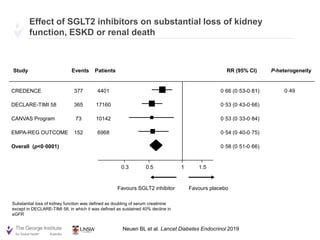 SGLT2 inhibitors for the prevention of kidney failure in patients with ...
