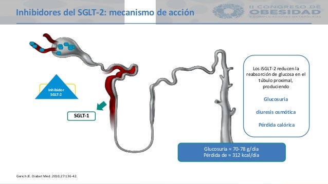 PPT iSGLT2 EN OBESIDAD Y DM2 PPT iSGLT2 EN OBESIDAD Y DM2
