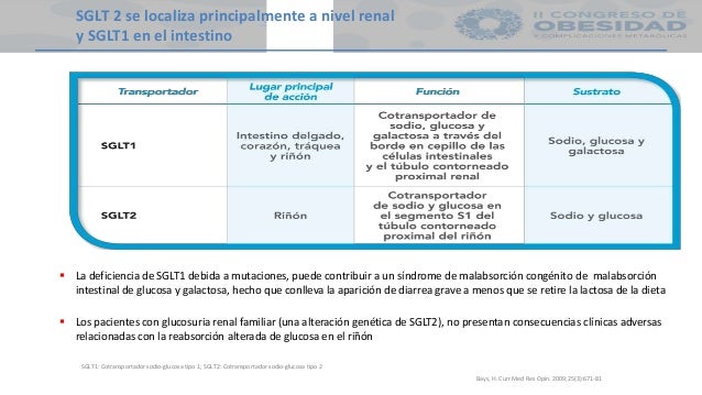 PPT iSGLT2 EN OBESIDAD Y DM2 PPT iSGLT2 EN OBESIDAD Y DM2