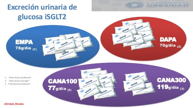 PPT iSGLT2 EN OBESIDAD Y DM2 PPT iSGLT2 EN OBESIDAD Y DM2