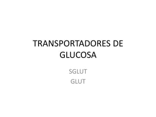 TRANSPORTADORES DE
     GLUCOSA
       SGLUT
        GLUT
 
