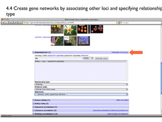 4.4 Create gene networks by associating other loci and specifying relationship type 