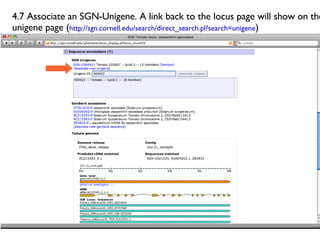 4.7 Associate an SGN-Unigene. A link back to the locus page will show on the unigene page ( http://sgn.cornell.edu/search/...