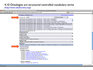 4.10 Ontologies are structured controlled vocabulary terms ( http://www.obofoundry.org/ )  