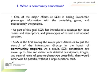 <ul><ul><li>One of the major efforts at SGN is linking Solanaceae phenotype information with the underlying genes, and sub...