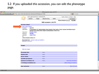 5.2  If you uploaded this accession, you can edit the phenotype page. 