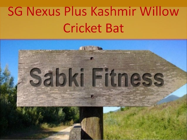 sg nexus plus english willow