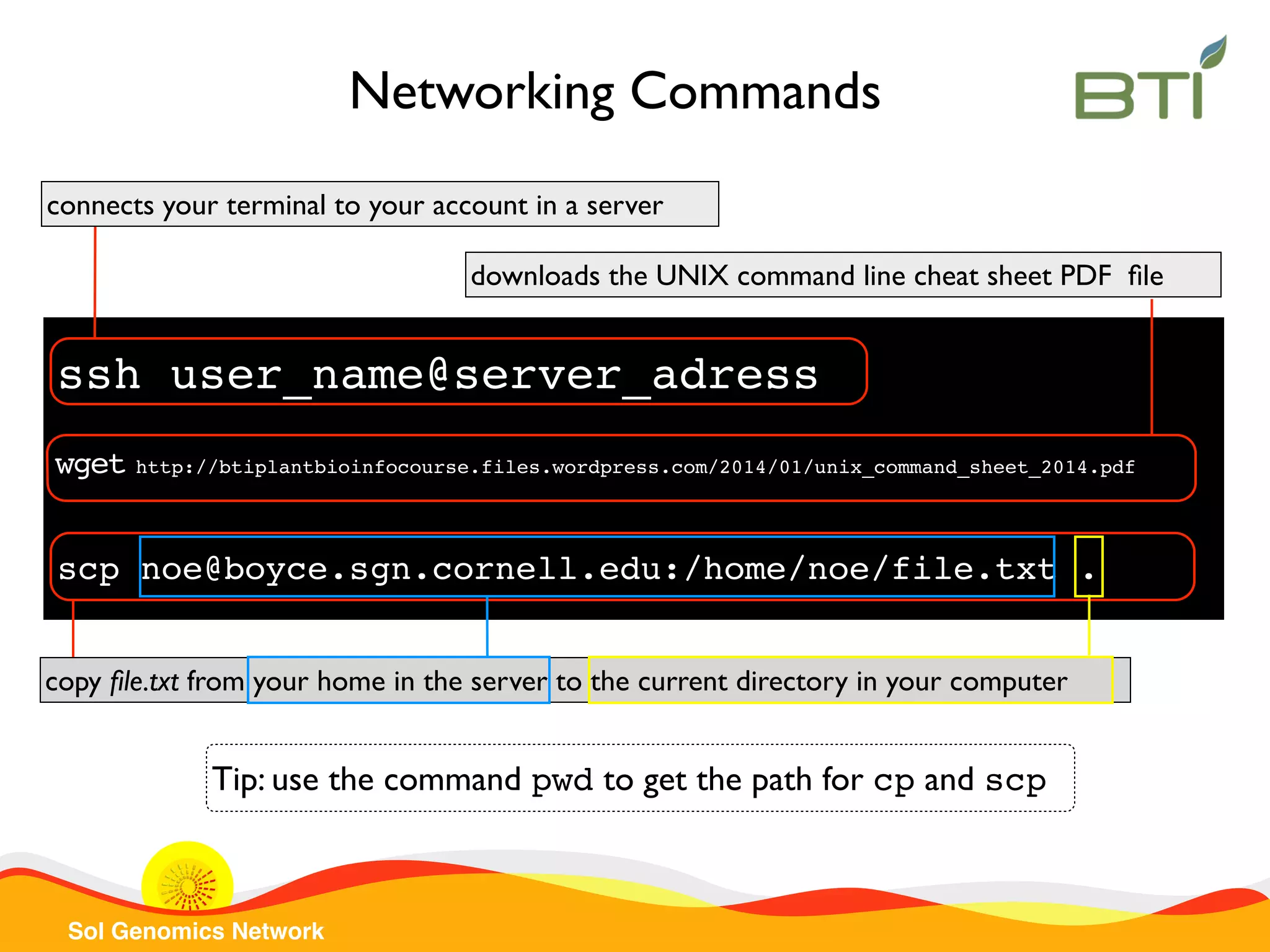 Sol Genomics Network
scp noe@boyce.sgn.cornell.edu:/home/noe/file.txt .
copy ﬁle.txt from your home in the server to the current directory in your computer
Networking Commands
wget http://btiplantbioinfocourse.files.wordpress.com/2014/01/unix_command_sheet_2014.pdf
downloads the UNIX command line cheat sheet PDF ﬁle
ssh user_name@server_adress
connects your terminal to your account in a server
Tip: use the command pwd to get the path for cp and scp
 