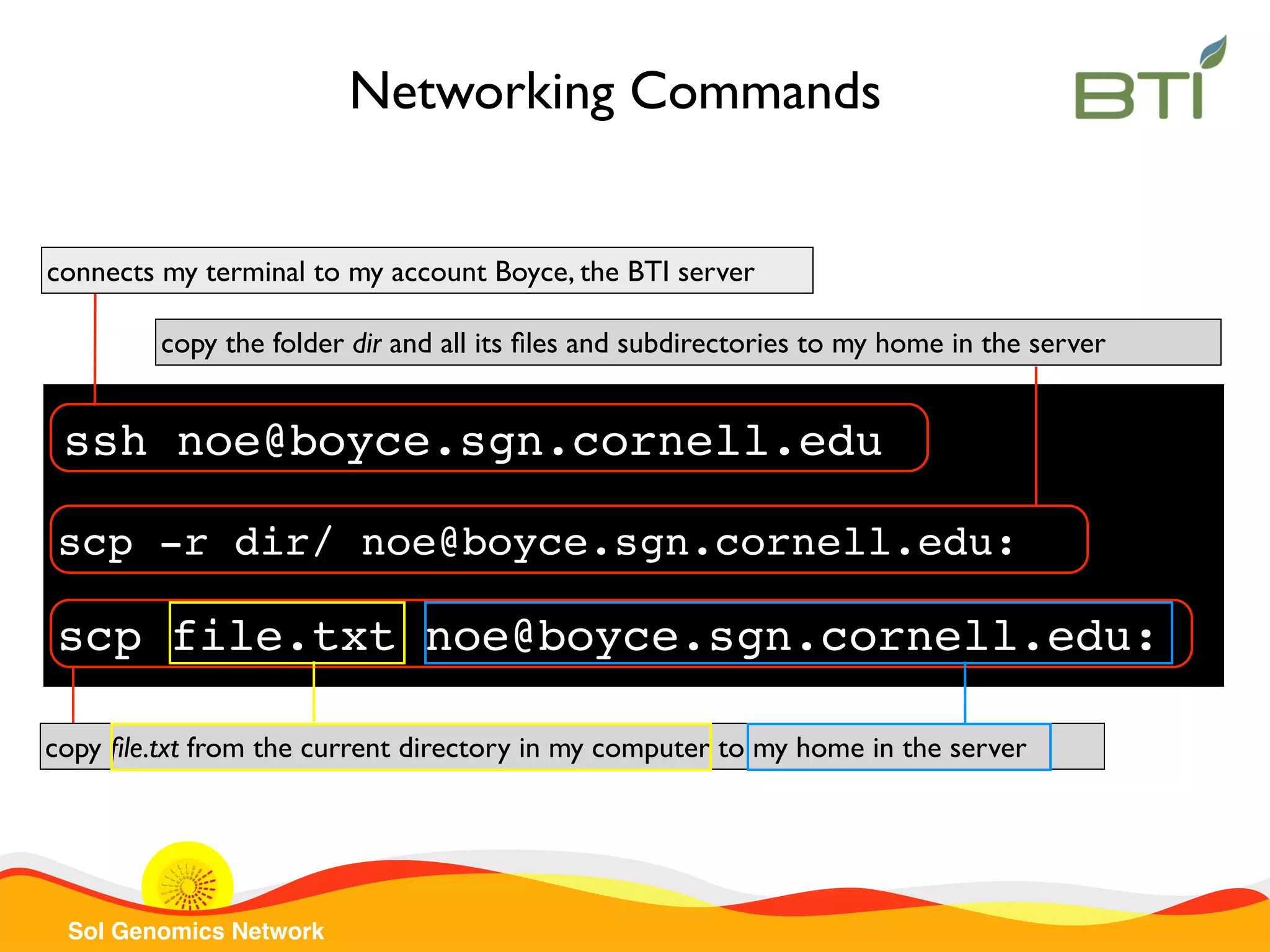 Sol Genomics Network
scp file.txt noe@boyce.sgn.cornell.edu:
copy ﬁle.txt from the current directory in my computer to my home in the server
Networking Commands
ssh noe@boyce.sgn.cornell.edu
connects my terminal to my account Boyce, the BTI server
scp -r dir/ noe@boyce.sgn.cornell.edu:
copy the folder dir and all its ﬁles and subdirectories to my home in the server
 