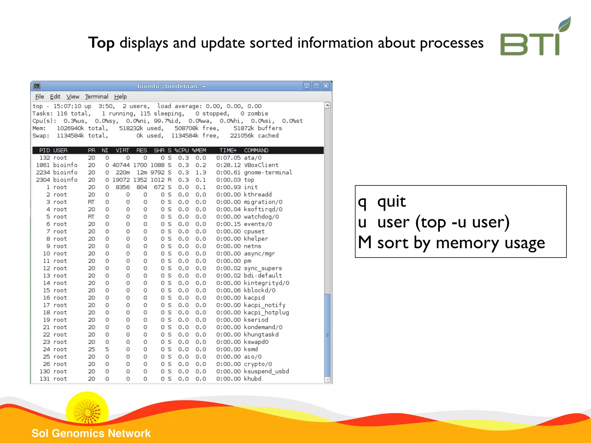 Sol Genomics Network
q quit
u user (top -u user)
M sort by memory usage
Top displays and update sorted information about processes
 
