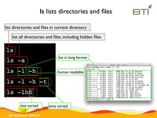 Sol Genomics Network
ls
list directories and ﬁles in current directory
ls lists directories and ﬁles
ls -a
list all directories and ﬁles, including hidden ﬁles
ls -l -h -t
time sorted
ls -lhS
size sorted
ls -l -h
list in long format
human readable
 