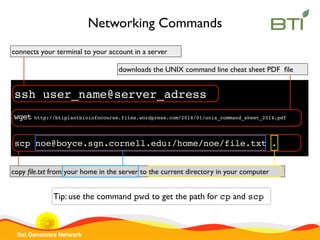 Sol Genomics Network
scp noe@boyce.sgn.cornell.edu:/home/noe/file.txt .
copy ﬁle.txt from your home in the server to the current directory in your computer
Networking Commands
wget http://btiplantbioinfocourse.files.wordpress.com/2014/01/unix_command_sheet_2014.pdf
downloads the UNIX command line cheat sheet PDF ﬁle
ssh user_name@server_adress
connects your terminal to your account in a server
Tip: use the command pwd to get the path for cp and scp
 