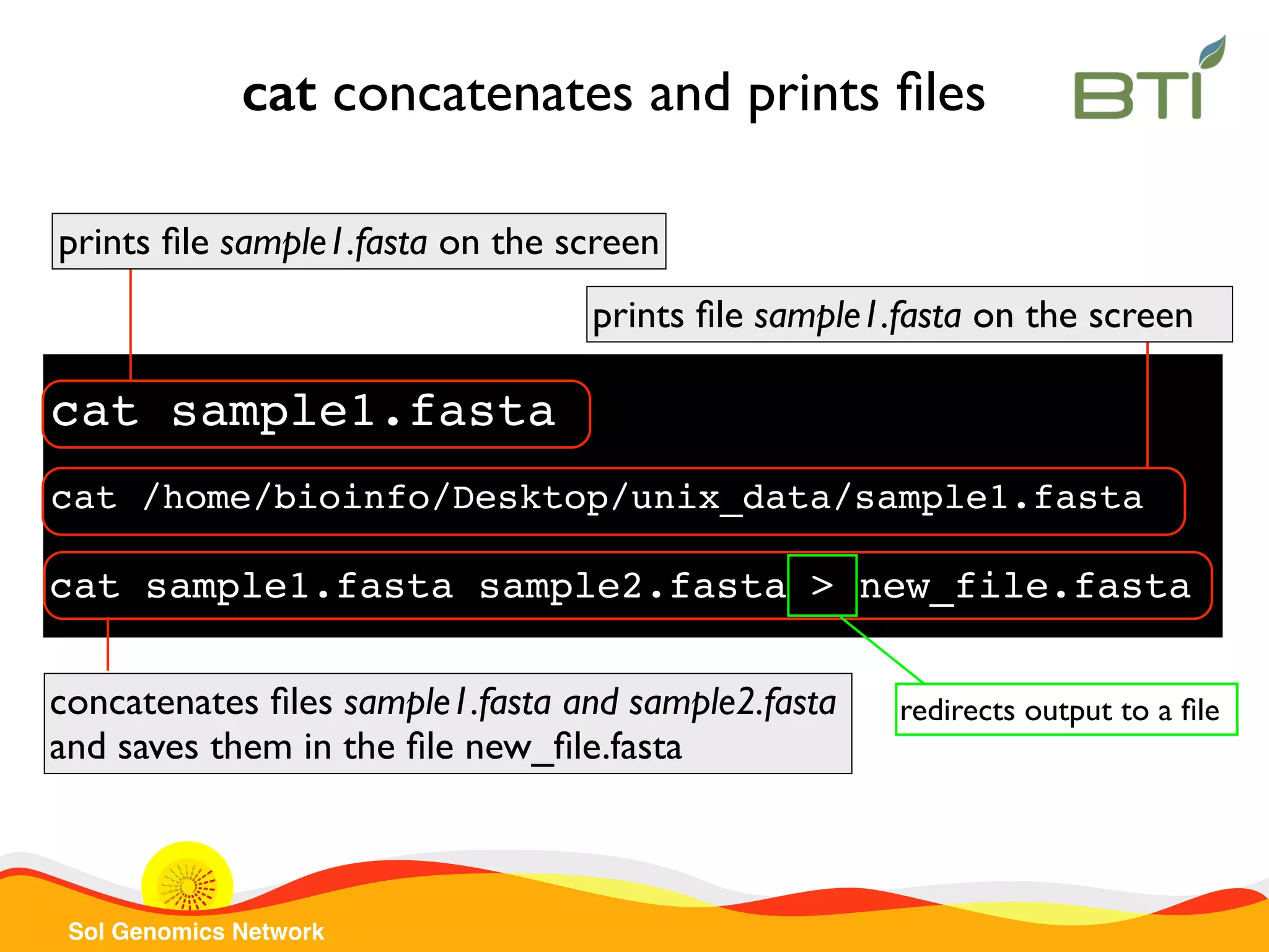 Sol Genomics Network cat sample1.fasta prints ﬁle sample1.fasta on the screen cat concatenates and prints ﬁles cat /home/bioinfo/Desktop/unix_data/sample1.fasta prints ﬁle sample1.fasta on the screen concatenates ﬁles sample1.fasta and sample2.fasta and saves them in the ﬁle new_ﬁle.fasta cat sample1.fasta sample2.fasta > new_file.fasta redirects output to a ﬁle 