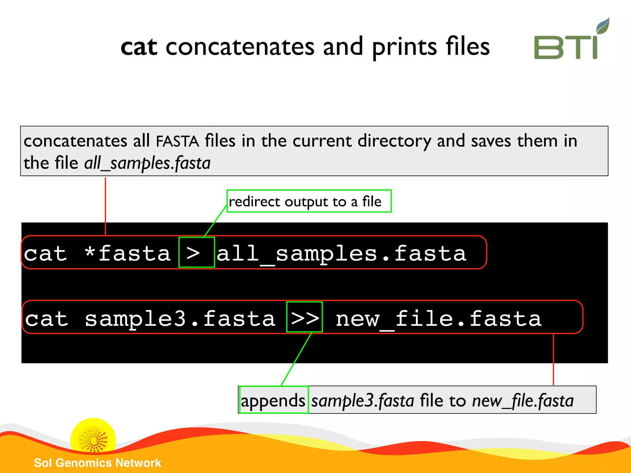 Sol Genomics Network cat *fasta > all_samples.fasta appends sample3.fasta ﬁle to new_ﬁle.fasta cat sample3.fasta >> new_file.fasta concatenates all FASTA ﬁles in the current directory and saves them in the ﬁle all_samples.fasta cat concatenates and prints ﬁles redirect output to a ﬁle 