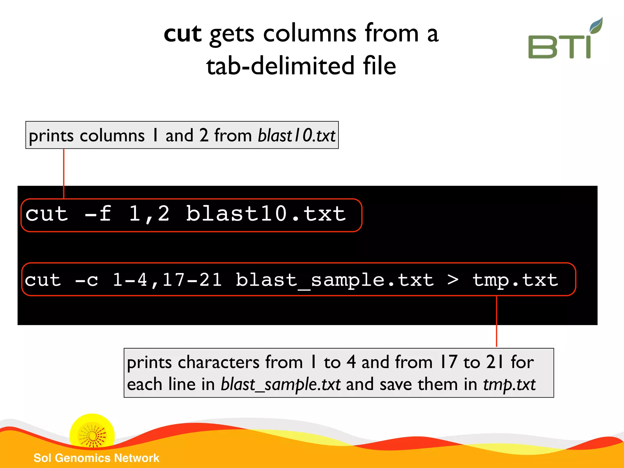 Sol Genomics Network cut -f 1,2 blast10.txt prints columns 1 and 2 from blast10.txt cut gets columns from a tab-delimited ﬁle cut -c 1-4,17-21 blast_sample.txt > tmp.txt prints characters from 1 to 4 and from 17 to 21 for each line in blast_sample.txt and save them in tmp.txt 