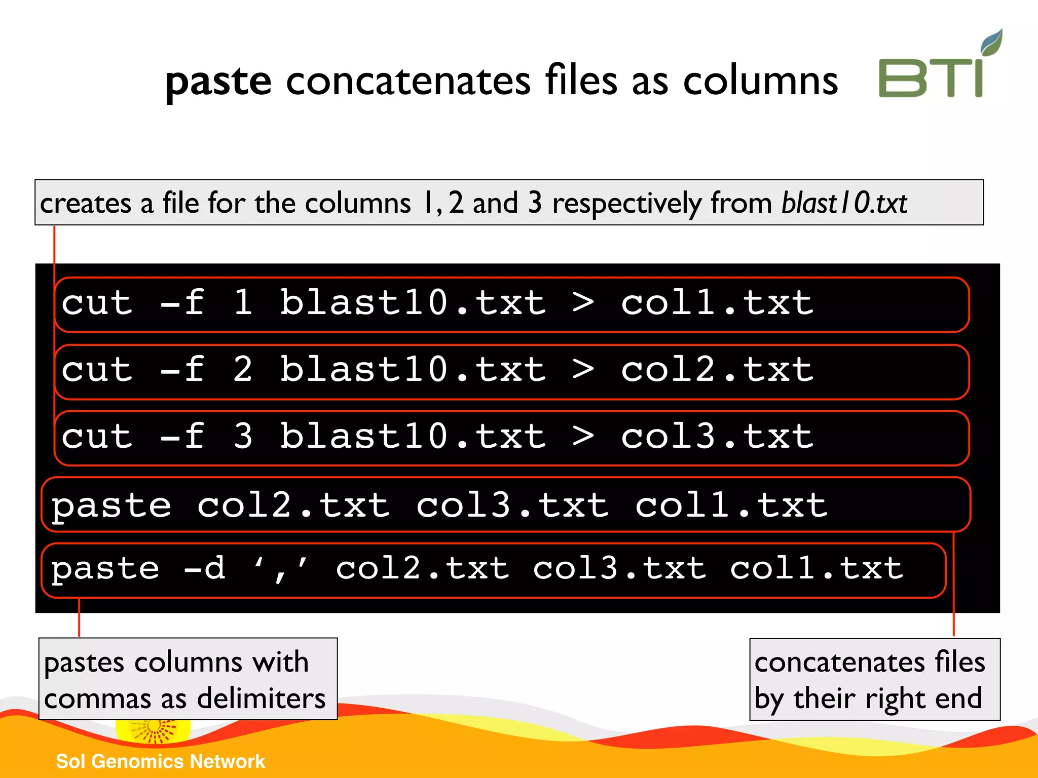 Sol Genomics Network paste concatenates ﬁles as columns paste col2.txt col3.txt col1.txt concatenates ﬁles by their right end cut -f 1 blast10.txt > col1.txt creates a file for the columns 1, 2 and 3 respectively from blast10.txt cut -f 2 blast10.txt > col2.txt cut -f 3 blast10.txt > col3.txt paste -d ‘,’ col2.txt col3.txt col1.txt pastes columns with commas as delimiters 