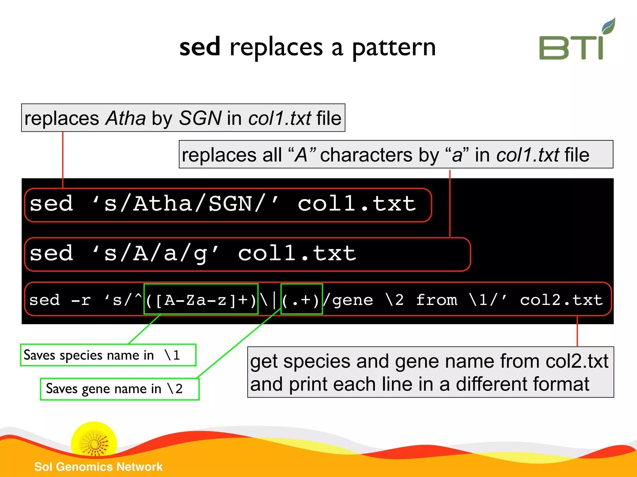 Sol Genomics Network sed replaces a pattern sed ‘s/A/a/g’ col1.txt replaces all “A” characters by “a” in col1.txt file sed ‘s/Atha/SGN/’ col1.txt replaces Atha by SGN in col1.txt file sed -r ‘s/^([A-Za-z]+)|(.+)/gene 2 from 1/’ col2.txt get species and gene name from col2.txt and print each line in a different format Saves species name in 1 Saves gene name in 2 