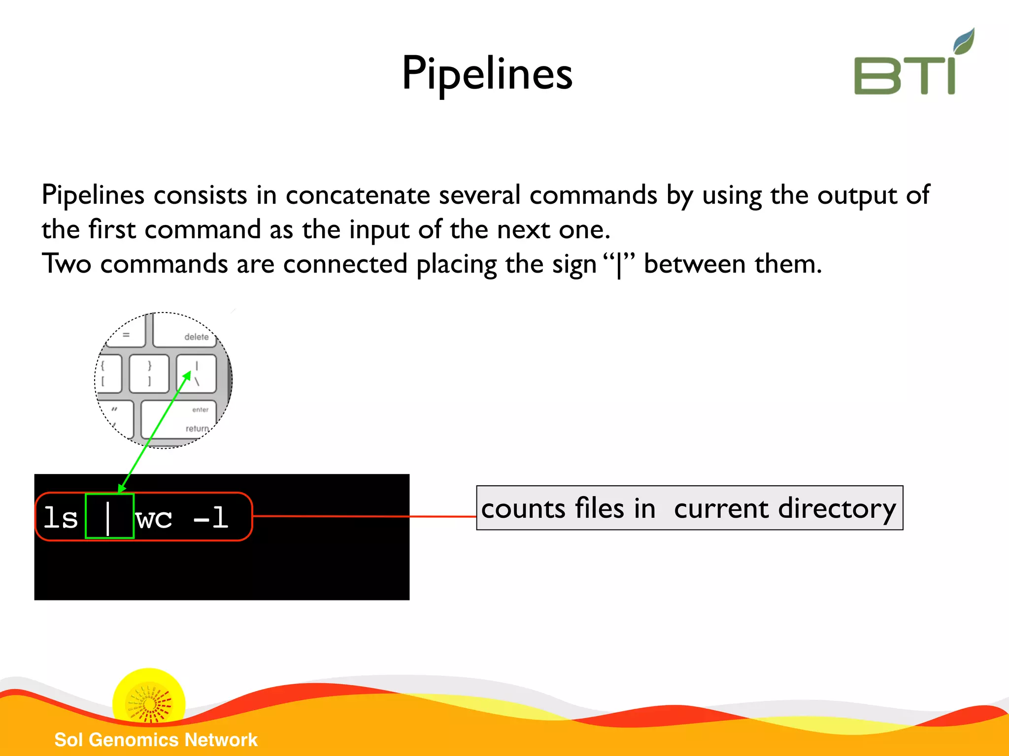 Sol Genomics Network Pipelines consists in concatenate several commands by using the output of the ﬁrst command as the input of the next one. Two commands are connected placing the sign “|” between them. ls | wc -l counts ﬁles in current directory Pipelines 