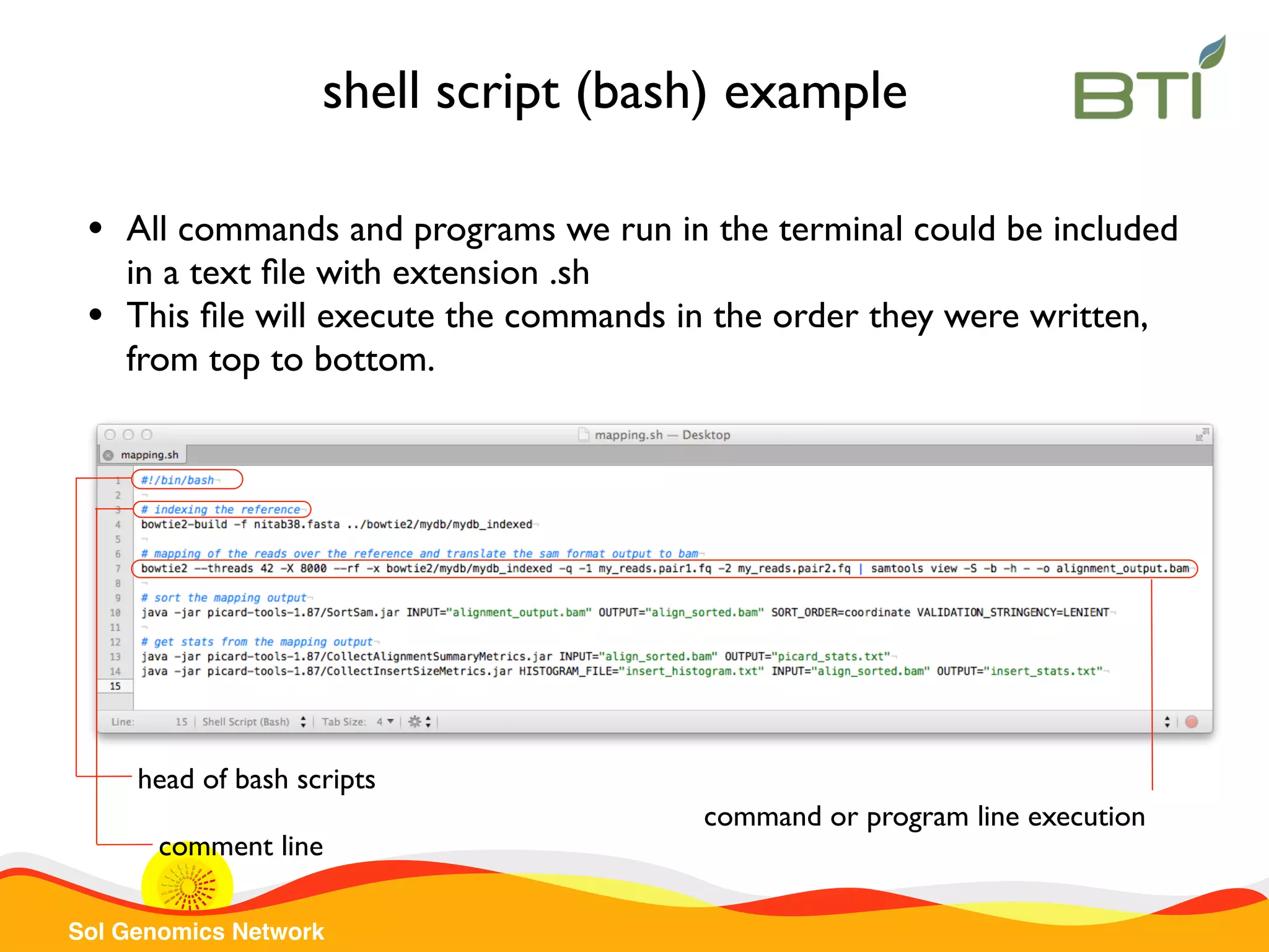 Sol Genomics Network shell script (bash) example • All commands and programs we run in the terminal could be included in a text ﬁle with extension .sh • This ﬁle will execute the commands in the order they were written, from top to bottom. head of bash scripts comment line command or program line execution 