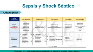 Sepsis y Shock Séptico
TRATAMIENTO
 