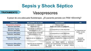 Sepsis y Shock Séptico
TRATAMIENTO Vasopresores
A pesar de una adecuada fluidoterapia ¿El paciente persiste con PAM <65mmHg?
 
