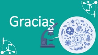 Gracias
 