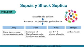 Sepsis y Shock Séptico
ETIOLOGÍA
Infecciones más comunes
Neumonías, intrabdominales, genitourinarias
Gram  Gram -
Staphylococcus aureus
Streptococcus pneumoniae
Escherichia coli
Klebsiella pneumoniae
Pseudomonas aeruginosa
Virus
Sars- Cov 2
Virus de la hepatitis
Hongos
Candida albicans
HARRISON. (2019). Principios de medicina interna. 20° Edición.
 