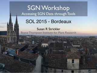 SGN Workshop
Accessing SGN Data through Tools
Susan R Strickler
Boyce Thompson Institute for Plant Research
SOL 2015 - Bordeaux
 