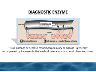 DIAGNOSTIC ENZYME
Tissue damage or necrosis resulting from injury or disease is generally
accompanied by increases in the levels of several nonfunctional plasma enzymes.
 